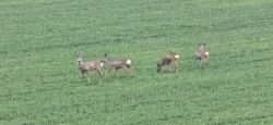 14 Blick Aus Dem Fenster